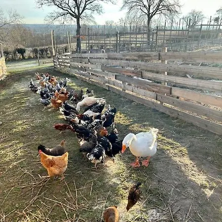 Sejournez A La Ferme Bleue