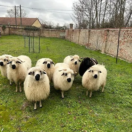 Sejournez A La Ferme Bleue