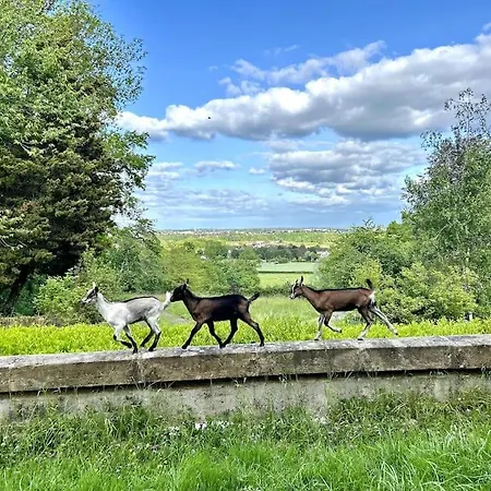 Sejournez A La Ferme Bleue Hébergement de vacances