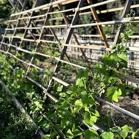 Sejournez A La Ferme Bleue Hébergement de vacances