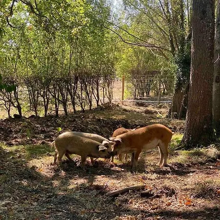 Sejournez A La Ferme Bleue * Neuvy (Allier)