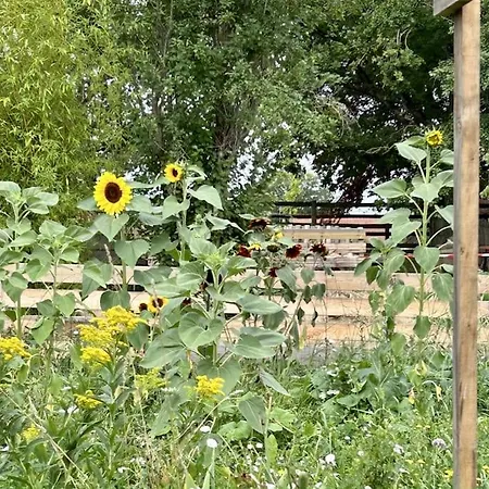 Sejournez A La Ferme Bleue Hébergement de vacances Neuvy (Allier)