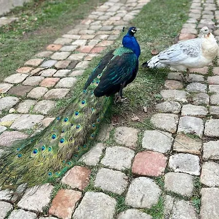 Hébergement de vacances Sejournez A La Ferme Bleue *